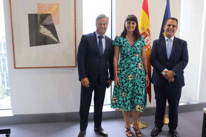 Dando los primeros pasos para constituir el proyecto del centro de diseño de chips ciberseguros en la Región
